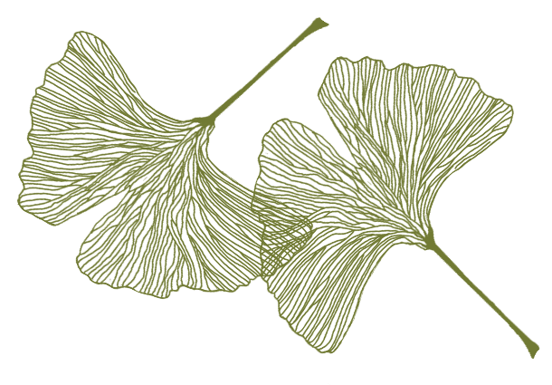 Ginkgoblätter aus dem Logo der Trauerrednerin Maria Sieben querformat